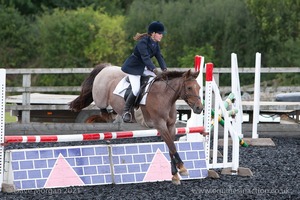 Class 6 - Fences not above 2'9